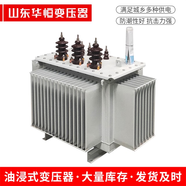 S13-10000/35庆云庆云庆云油浸式变压器厂家